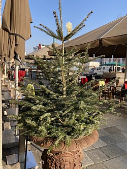 Geliefert Anfang Dezember 2022. Kaffee Glockenspiel Hauptplatz LINZ